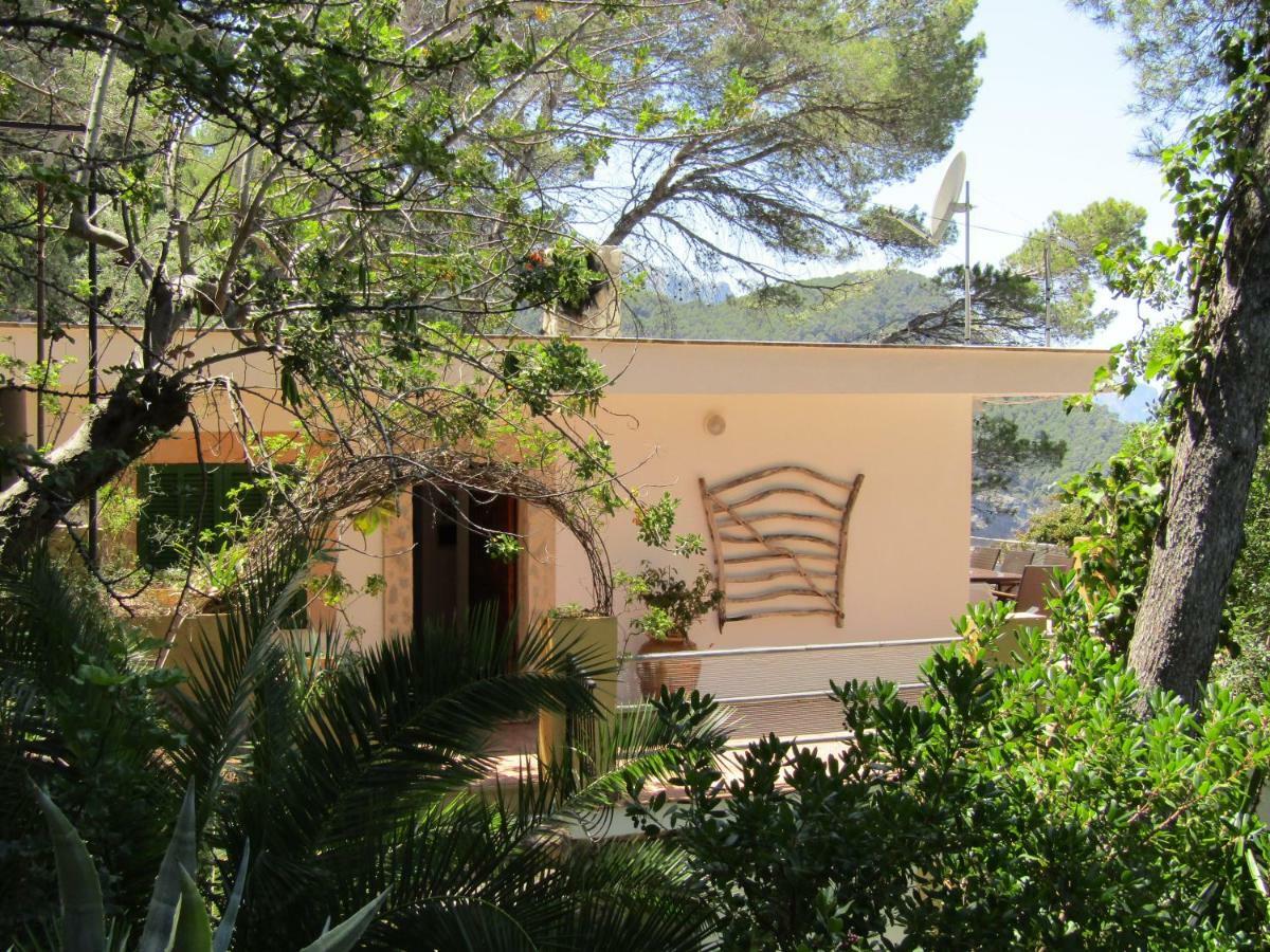 Son Riera Petit Paradís Bañalbufar  Exterior foto